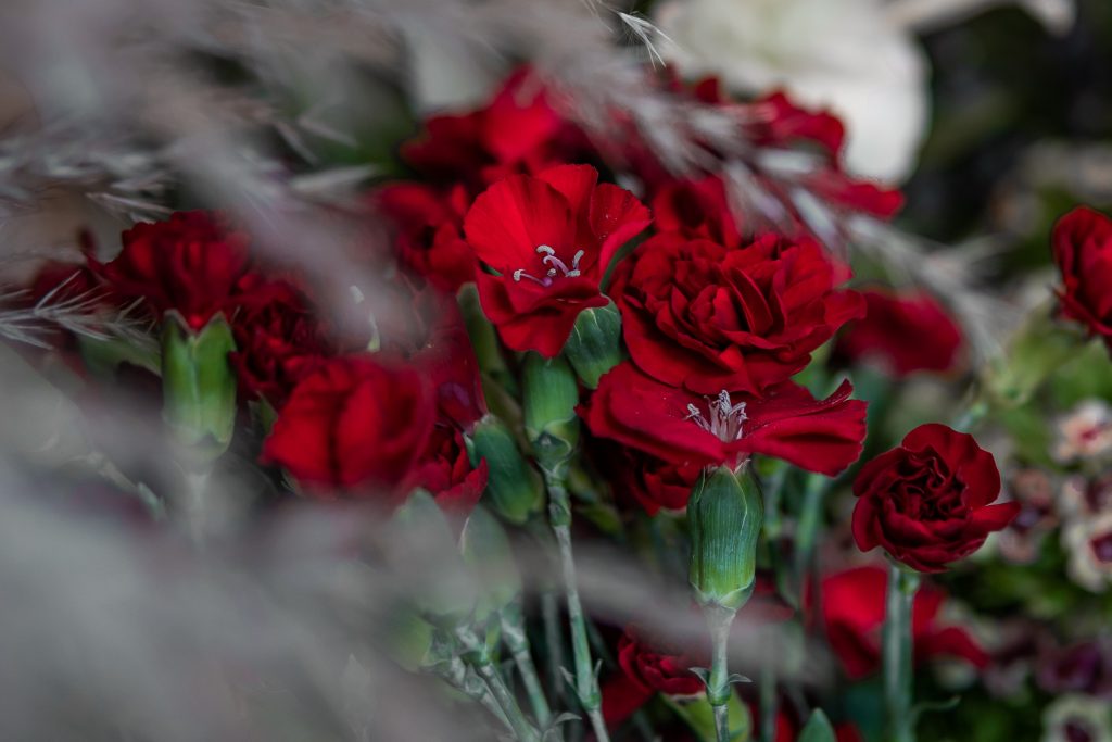 Découvrez les bienfaits incroyables de la décoration murale fleur de vie